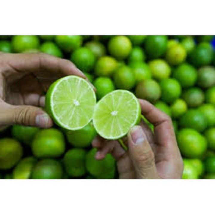 CÂY GIỐNG CHANH KHÔNG HẠT QUẢ CHÙM