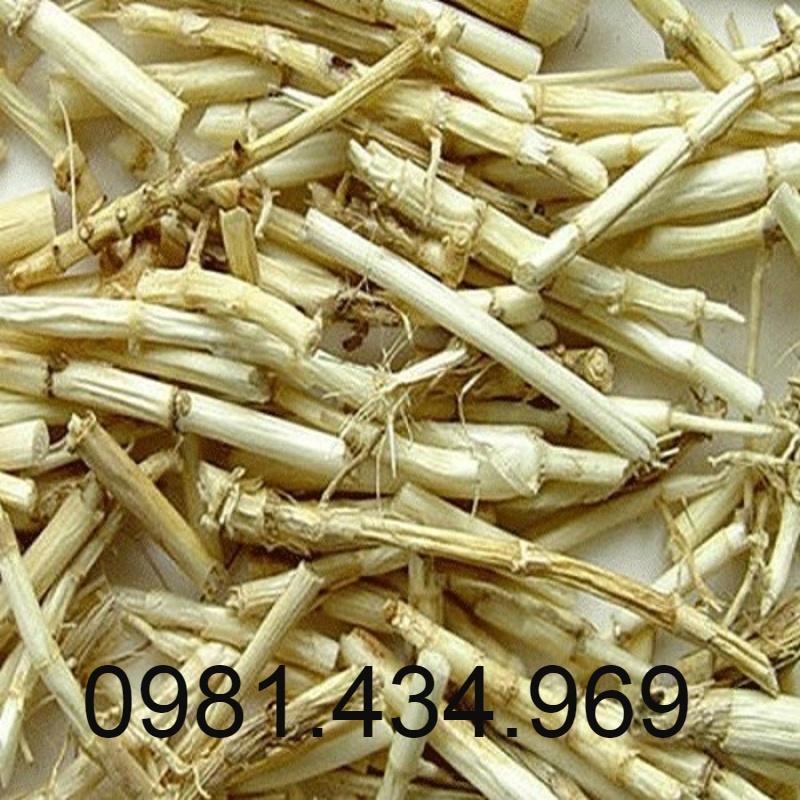 Rễ Cỏ Tranh Khô 500G Loại 01 Khô Mới