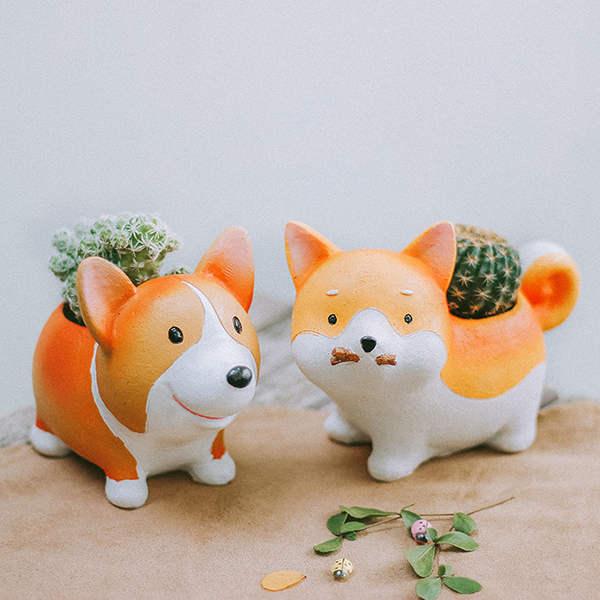 Sen Đá Xương Rồng Corgi