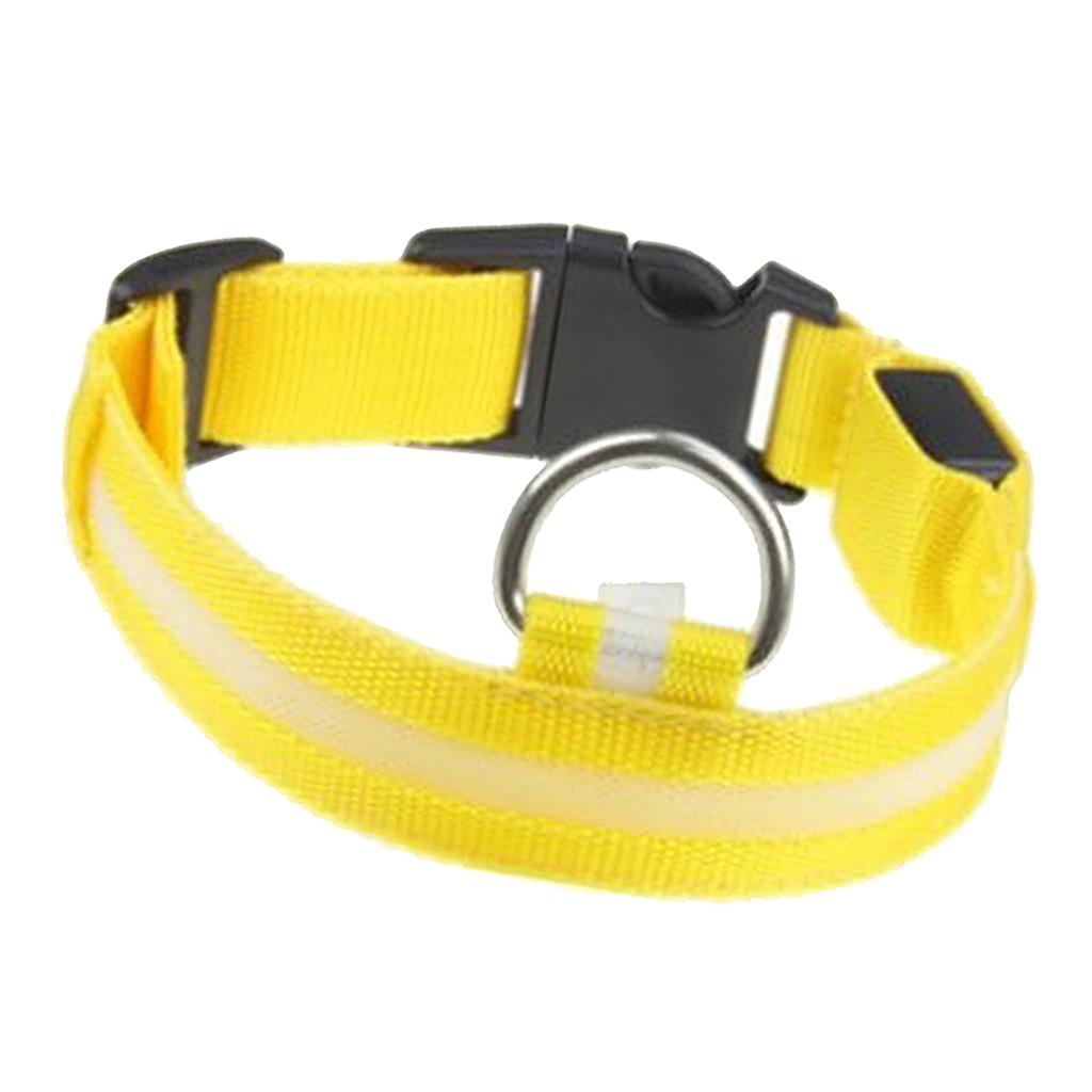 Adjustable Pet Lighting Collar Dog Glow In The Dark Collar For Small Dog