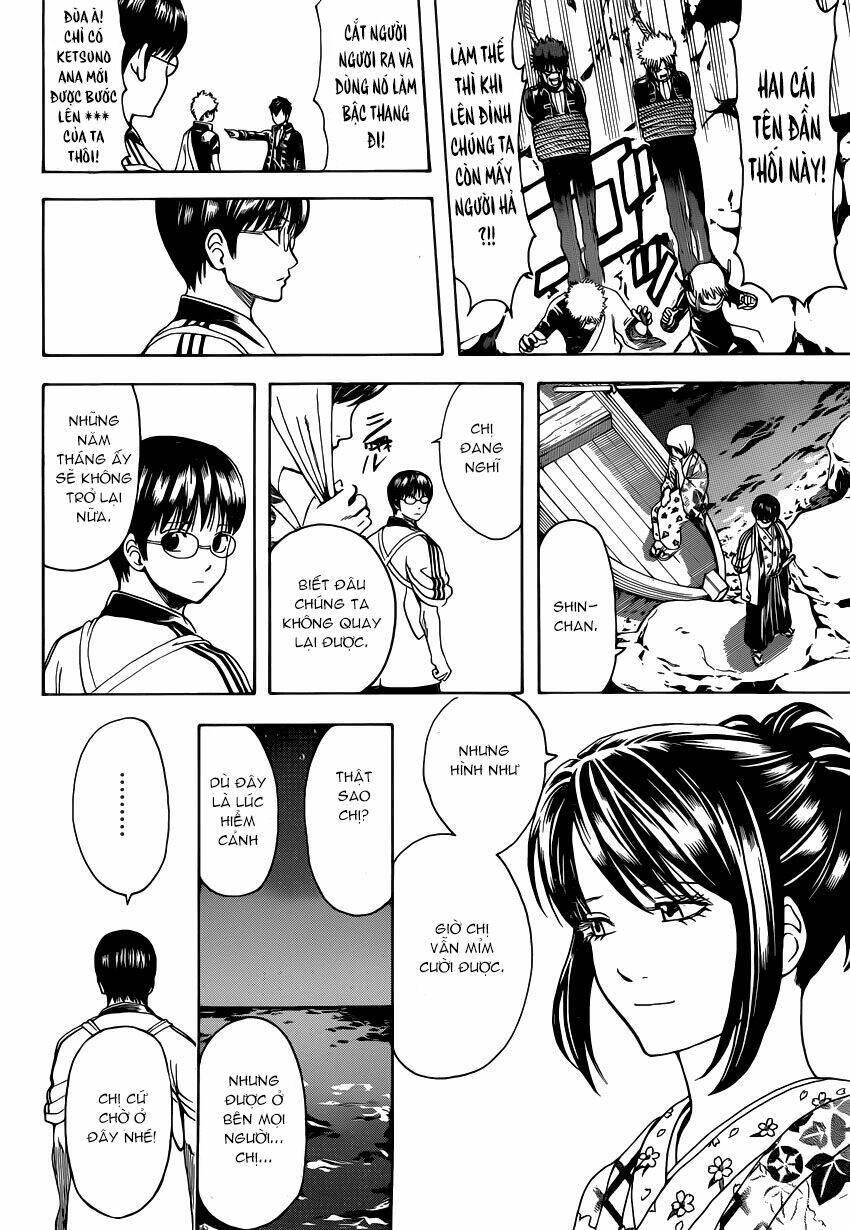 gintama - linh hồn bạc chapter 533 12