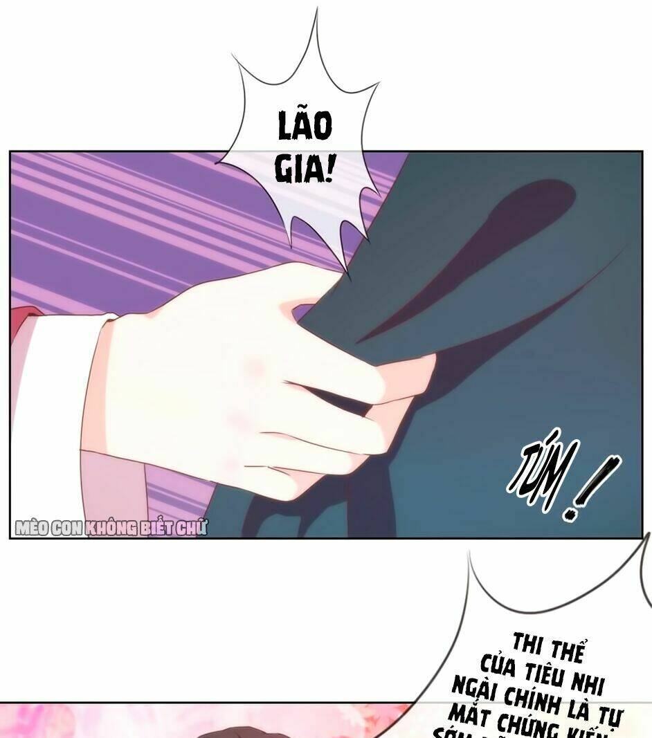 ồ, sủng phi đại nhân của ta chapter 2 16