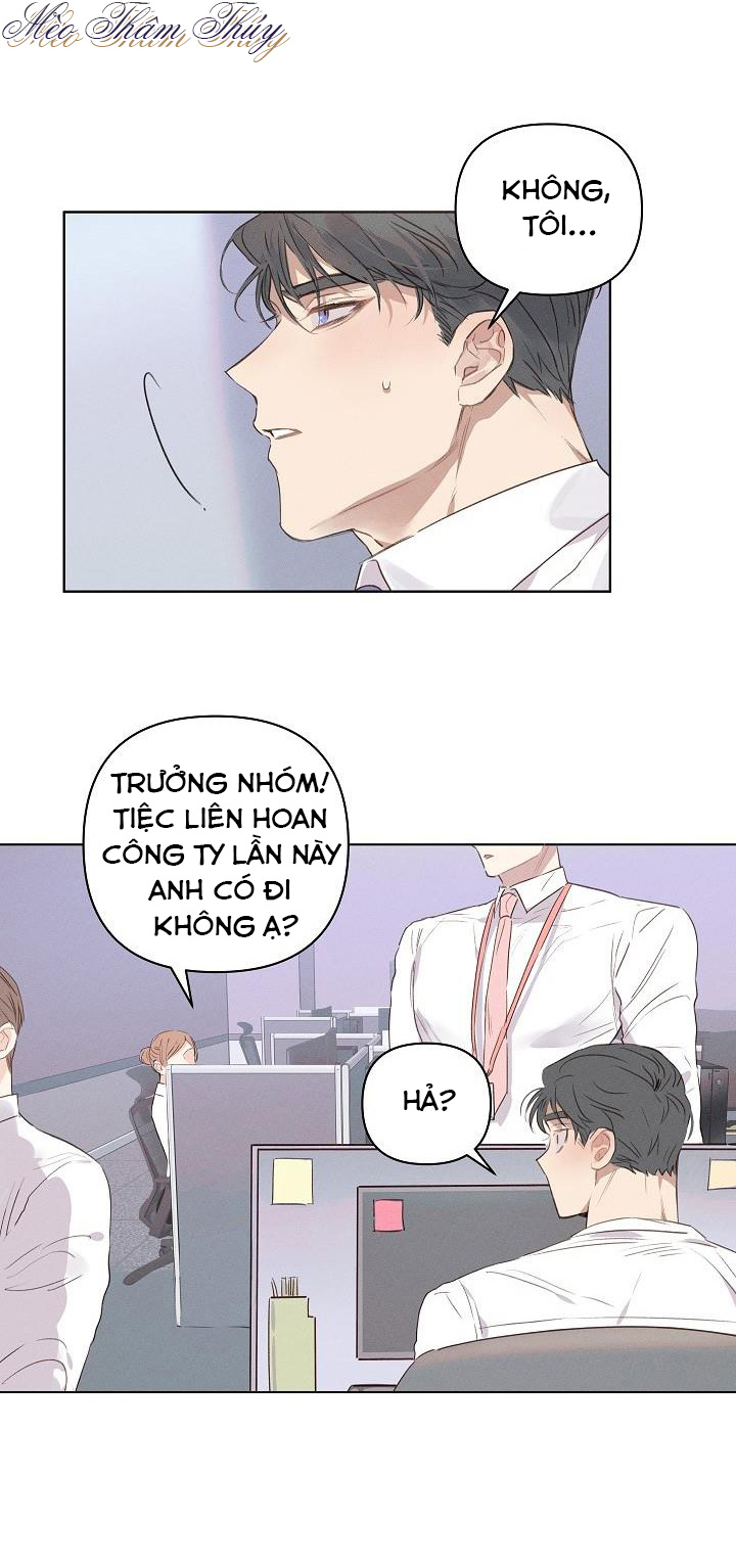 nơi tình yêu định mệnh chapter 2 11