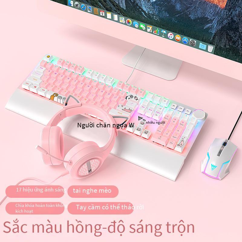 Giá Đặc Biệt Wrangler Đôi Phối Màu Chủ Đề Mèo Dễ Thương Bàn Phím Cơ Laptop Văn Phòng Dễ Thương Hoa Anh Đào Hồng Bàn Phím Cơ
