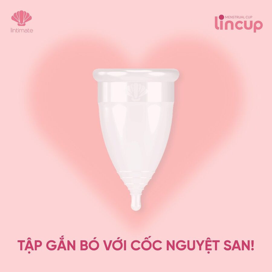 Bộ Cốc Nguyệt San Lincup + Tặng kèm dung dịch vệ sinh phụ nữ và cốc nguyệt san Lincare Rose