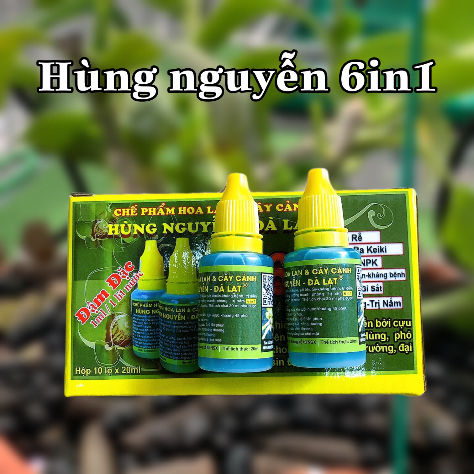 HÙNG NGUYỄN - ĐÀ LẠT 6 IN 1 chế phẩm hoa lan và cây cảnh