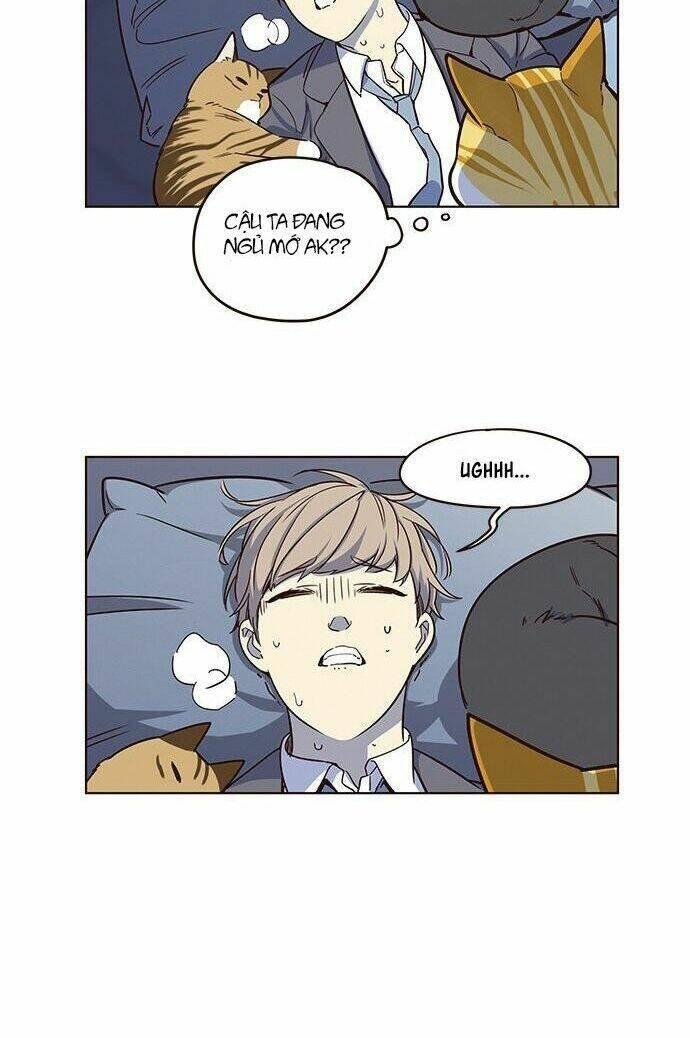 biến thân thành mèo chapter 8 22
