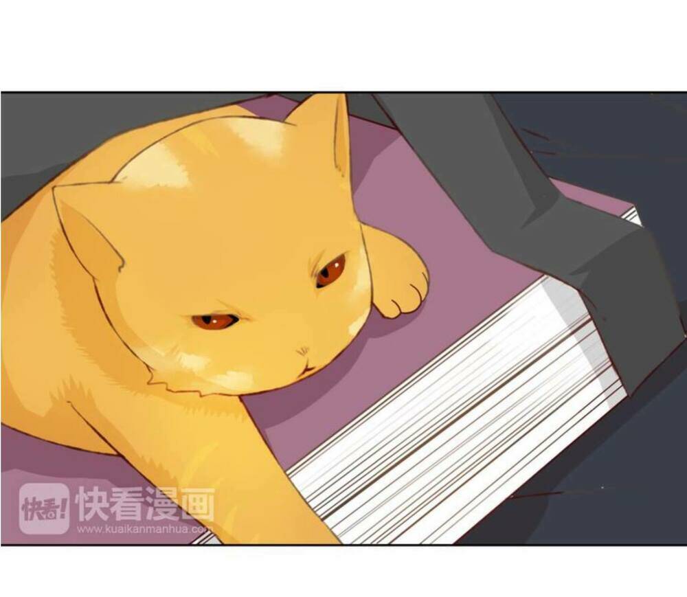 tôi không phải đa nhân cách chapter 12 7