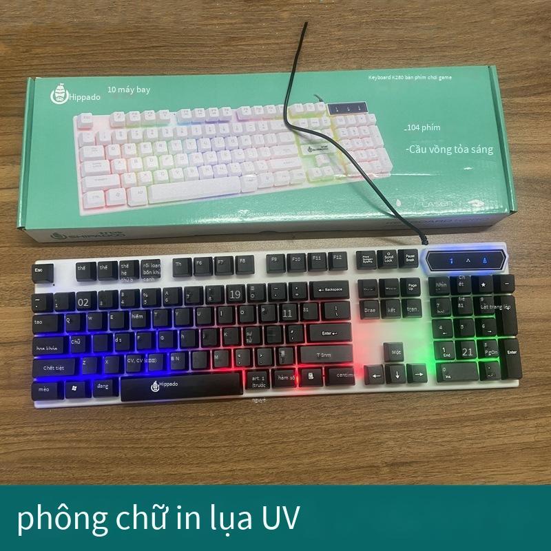 Phong cách mới nhất của máy tính bàn phím có dây dạ quang văn phòng tại nhà đèn nền bàn phím chuột usb cài đặt và giao hàng