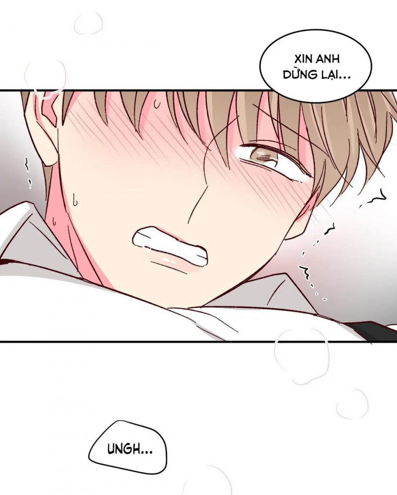 món tráng miệng của sếp tổng chapter 45 43