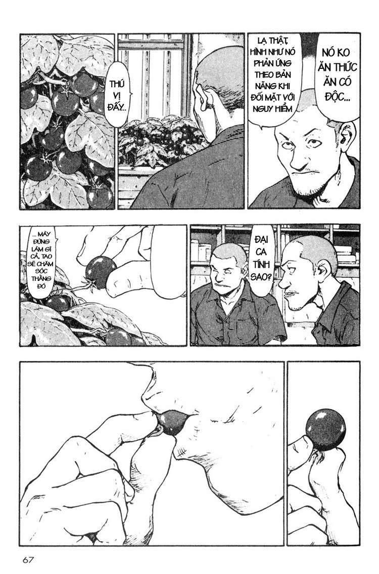 shamo (võ đạo) chapter 14 5