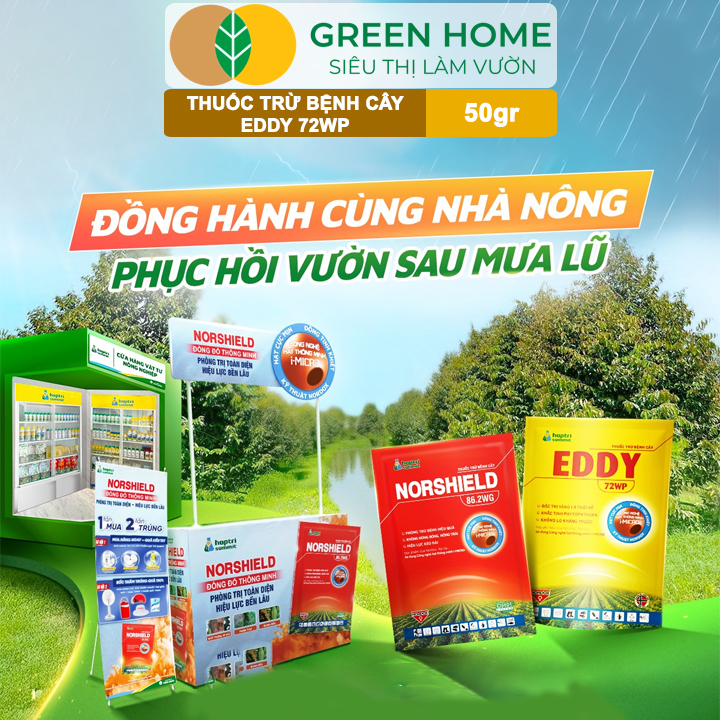 Chế Phẩm EDDY 72WP GreenHome, Gói 50gr, Đặc Trị Vàng Lá, Thối Rễ, Mốc Sương, Nứt Thân, Xì Mủ