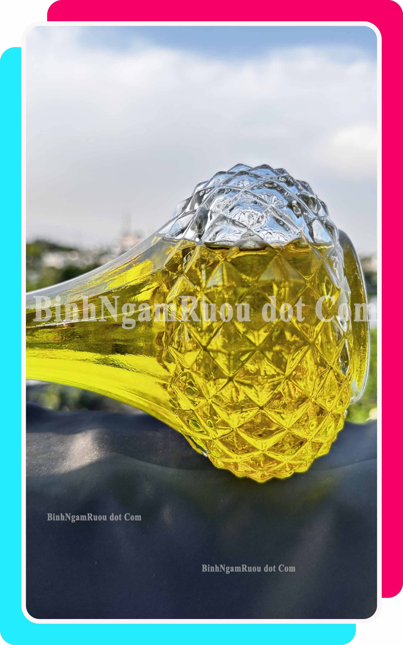 C22 Chai Đựng Rượu Thủy Tinh Tròn Cổ Cao 800ml - Đẹp Cao Cấp - Nắp Kín Thủy Tinh Trong - Tặng Biếu Sang Trọng