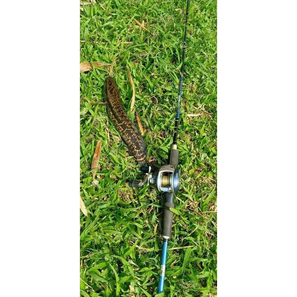Cần Câu Lure 2 Ngọn Fishing Of Catch THẾ GIỚI ĐỒ CÂU LURE 68 Cần Câu Lure Giá Rẻ 2 Ngọn Fishing Of Catch ( sale xả hàng