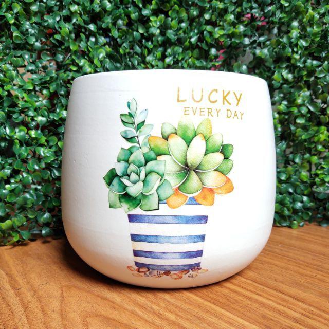 Chậu sứ trồng cây quả lê in hình siêu đẹp, size to S1, chậu sứ trồng cây, cây văn phòng, cây để bàn