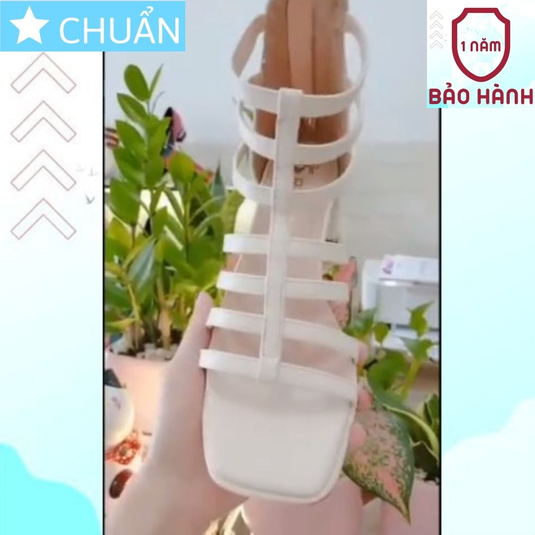 Hình ảnh Giày Sandal Nữ Kiểu Chiến Binh 4p RO486 ROSATA tại BCASHOP Cho Cô Nàng Tự Tin Thể Hiện Cá Tính - Màu Kem