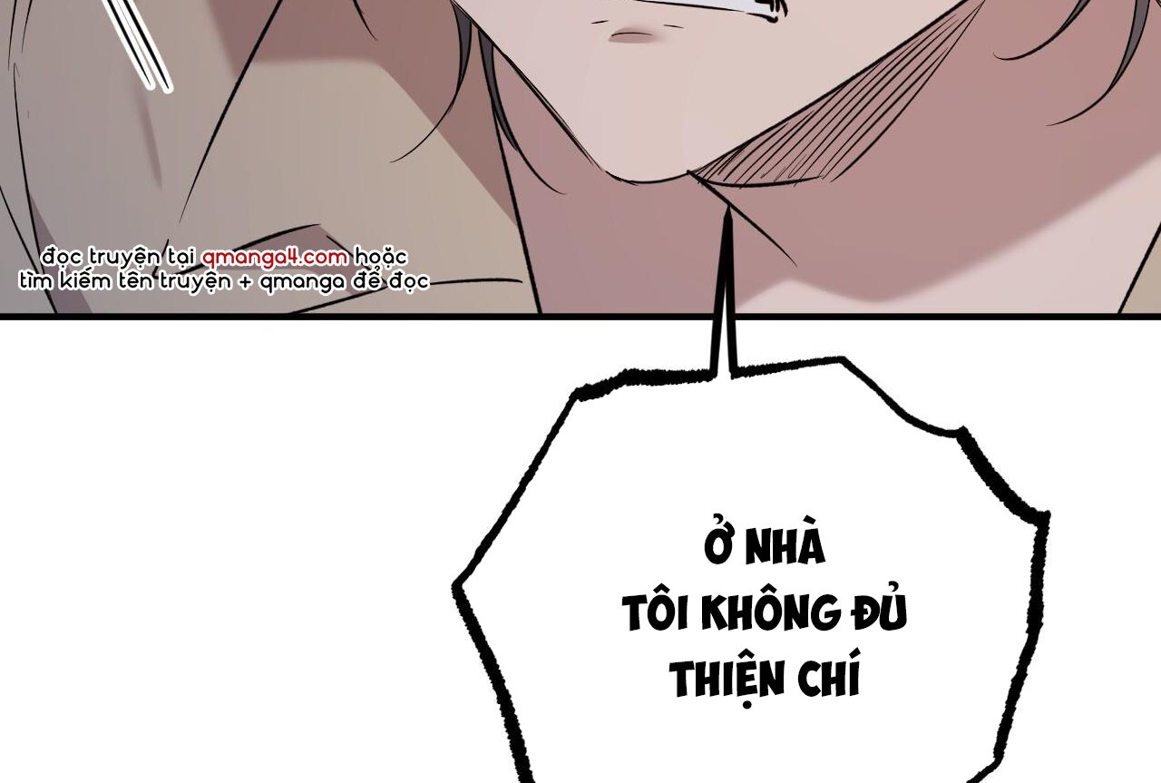 những chú thỏ của hapypy chapter 58 116