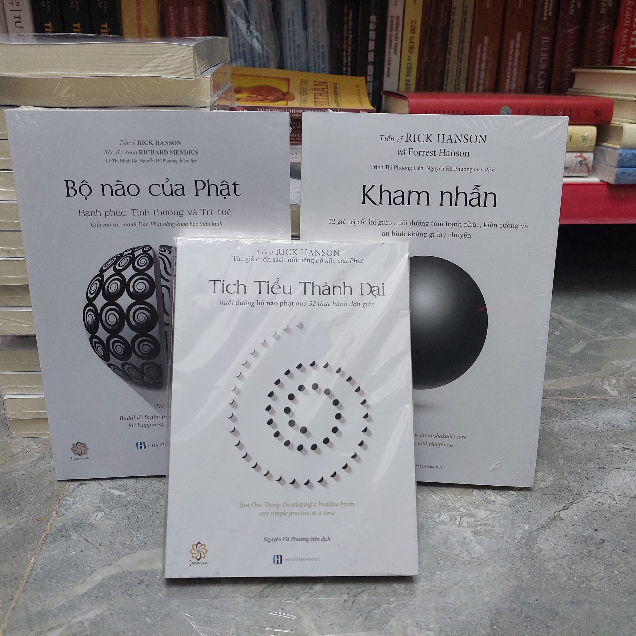 BỘ NÃO CỦA PHẬT, TÍCH TIỂU THÀNH ĐẠI, KHAM NHẪN -