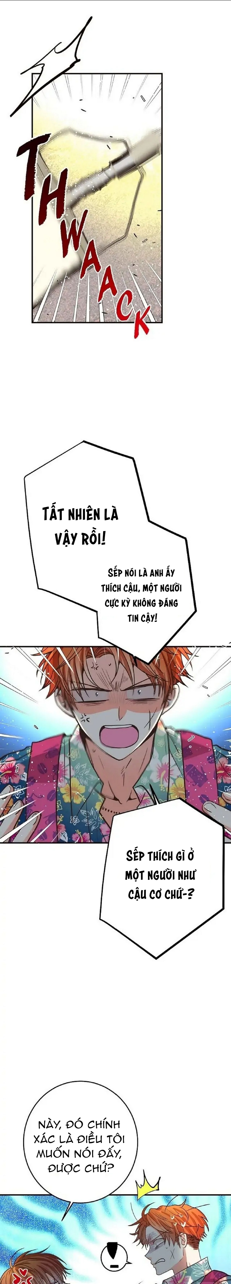 mối quan hệ phù hợp chapter 19 27