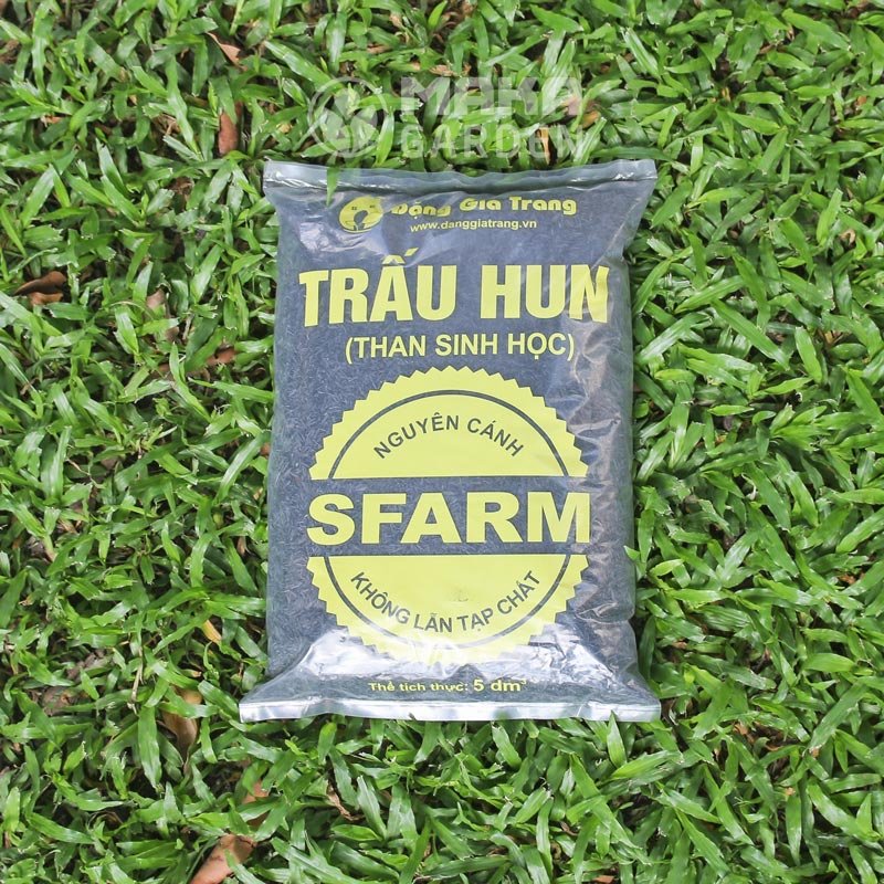 Trấu Hun Nguyên Cánh Sfarm - Túi 5dm3 - Không Lẫn Tạp Chất. Dùng Trồng Thuỷ Canh, Rau Mầm, Ươm Cây Con