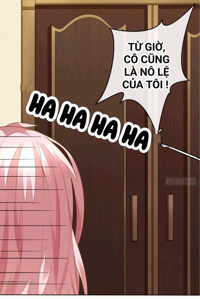 vật nuôi đáng yêu : mèo cỏ của tôi chapter 1.5 58