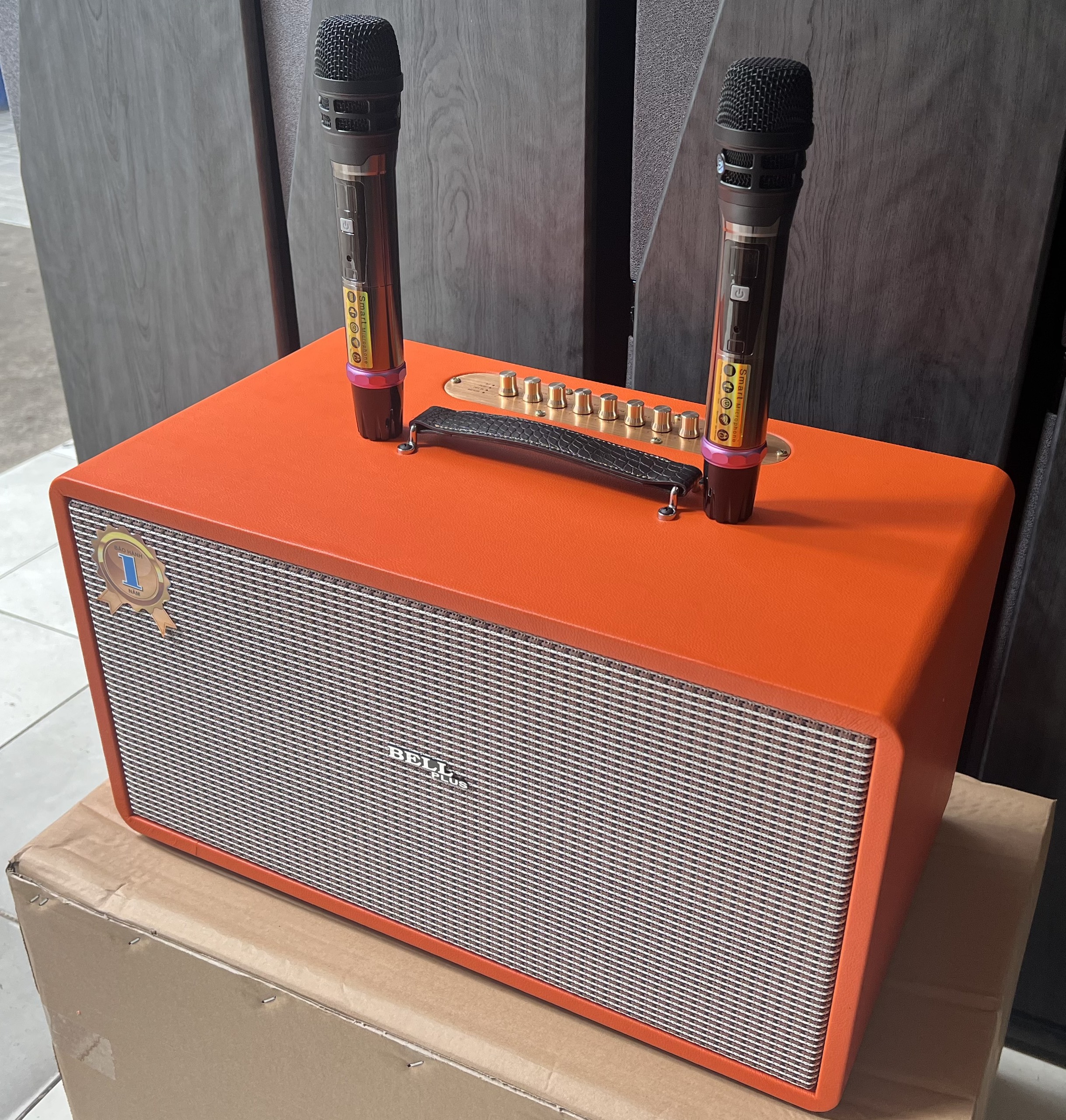Loa kéo xách tay di động Bellplus bass 20 đôi 2 chép cao cấp