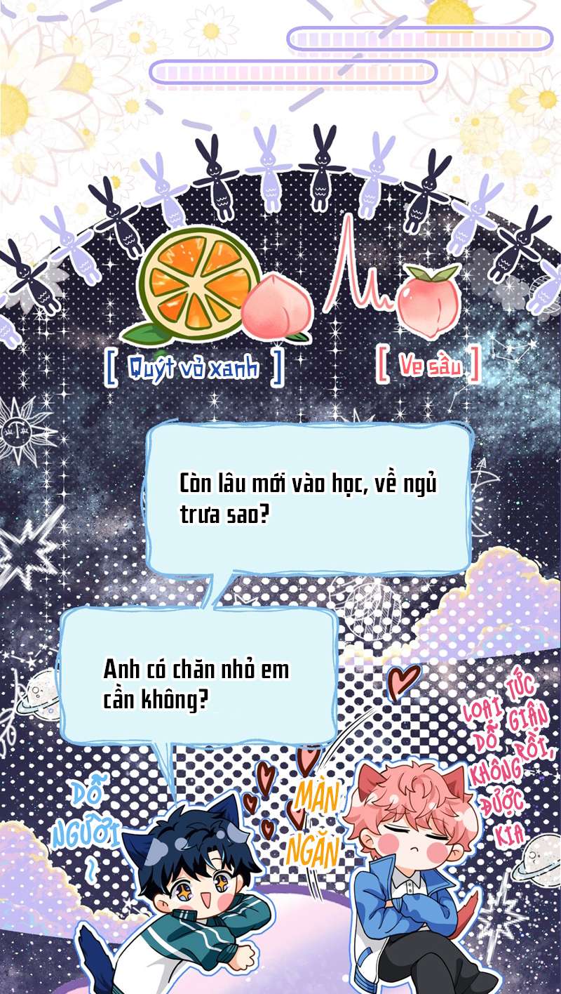 tín tức tố nói chúng ta không thể chapter 72 20