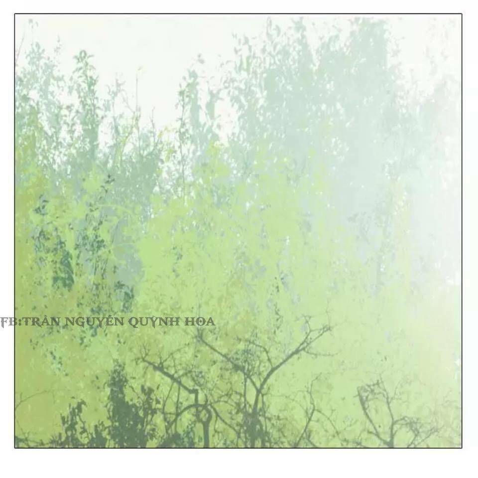 xin chào! dân nữ chapter 14 28