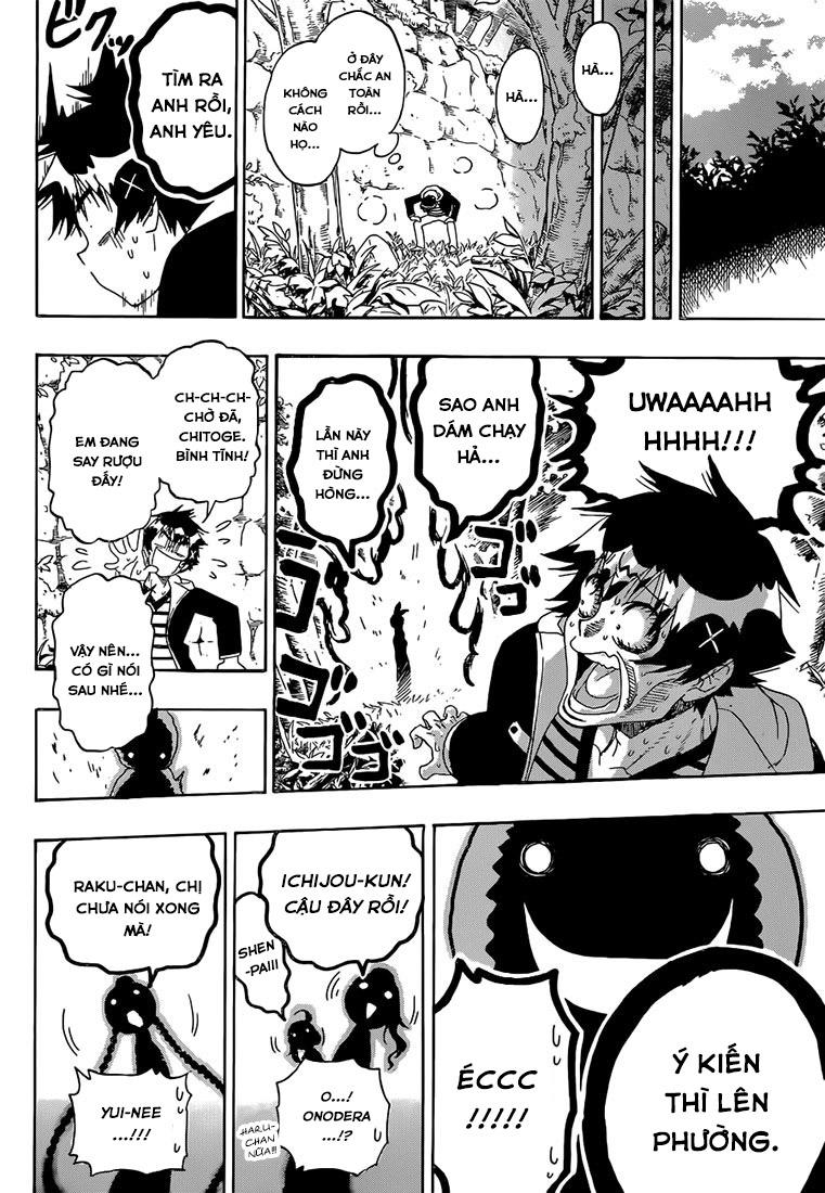 nisekoi - tình yêu giả tạo chapter 173 19