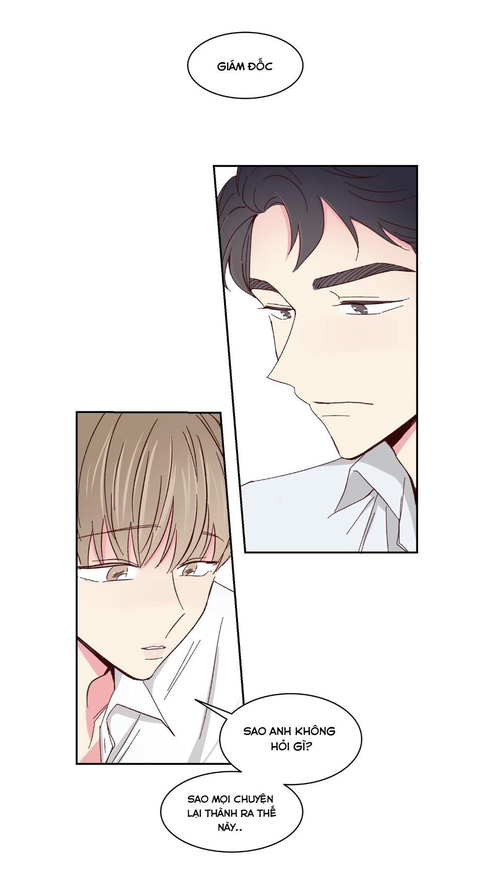 món tráng miệng của sếp tổng chapter 59 23