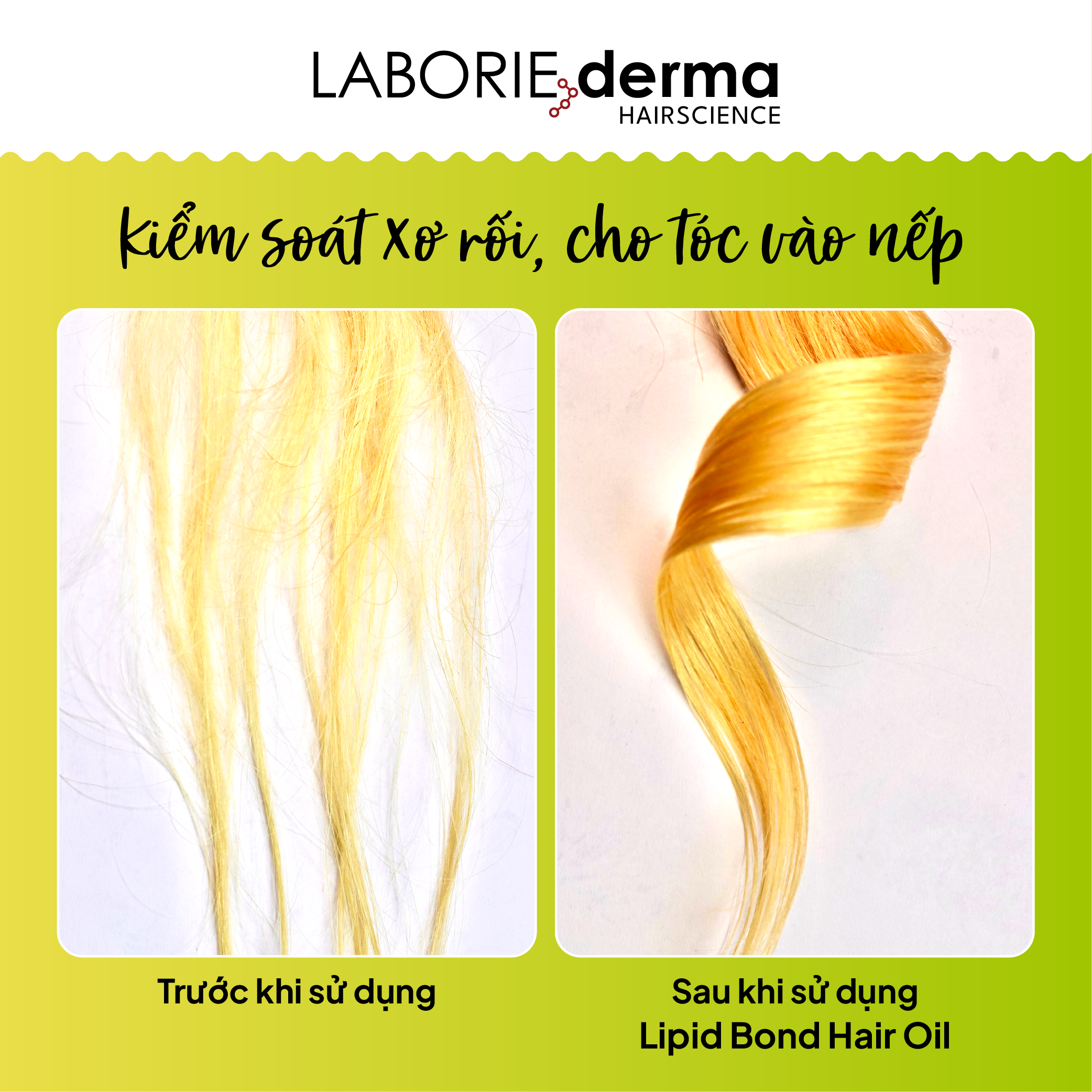 Dầu dưỡng bảo vệ tóc, giúp tóc bóng mượt và chắc khỏe LABORIE derma Lipid Bond Hair Oil - 30ml