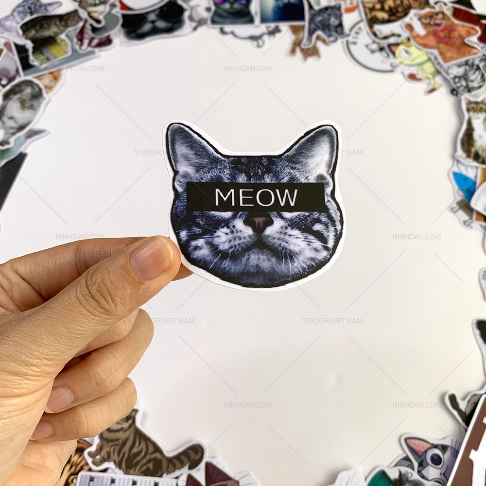 Bộ sticker chủ đề Mèo - Cat - Boss 2019, decal hình dán thú cưng chống nước, trang trí nón bảo hiểm, điện thoại, lap top ...