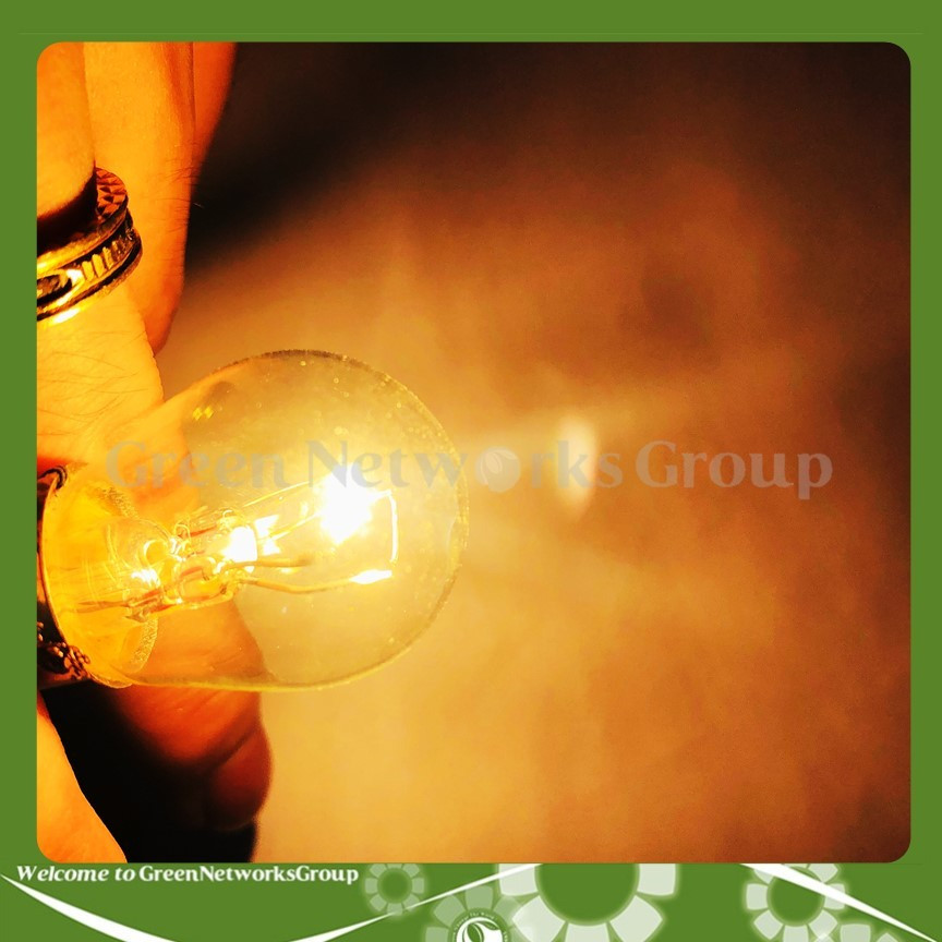 Hình ảnh Bóng đèn hậu Halogen Sun Shing 12V - 24V 21W - Đèn hậu xe máy Sun Shing Green Networks Group ( 1 Đèn )