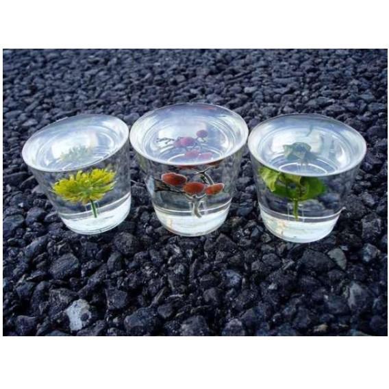Keo Epoxy Resin Trong Suốt Đổ Khối Lớn 1kg - Trường Thịnh Sa·