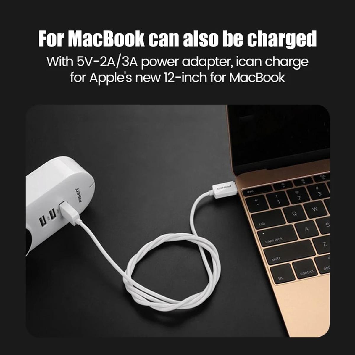 Cáp Sạc Mr White Type-C USB-A 1 m - Pisen TC25-1000