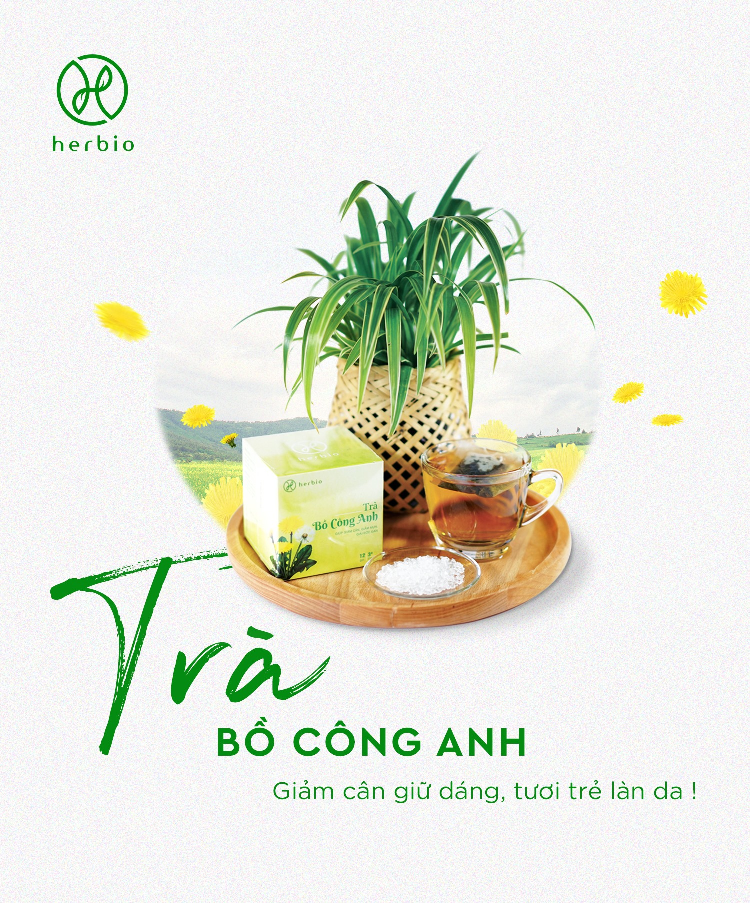 TRÀ THẢO DƯỢC TÚI LỌC BỒ CÔNG ANH HERBIO - giúp thon dáng, giảm mụn, mát gan, giải độc - hộp 12 gói