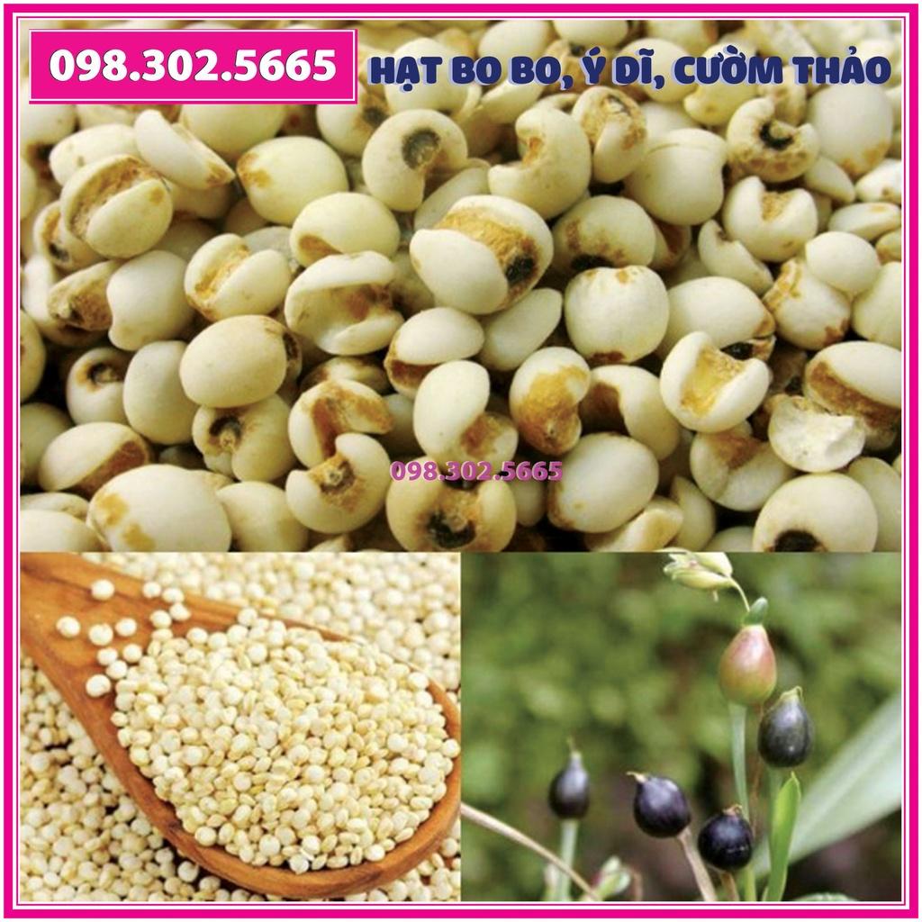 Gói 300g Hạt Cây Bo bo Cây Ý Dĩ Cườm Thảo - dùng cho chăn nuôi gia súc, gia cầm, thiên cầm