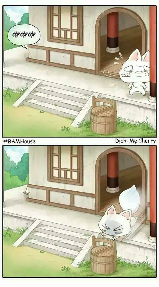 tiểu hồ ly vs tiểu hóa thượng chapter 13 10