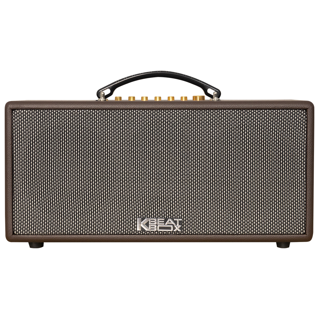 Dàn Âm Thanh Di Động Xách Tay ACNOS CS366 PLUS - HÀNG CHÍNH HÃNG