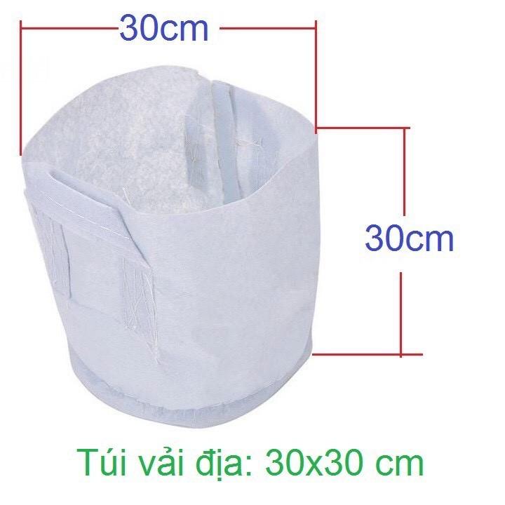 5 Túi vải địa có quai xách trồng cây ( 30x30 ) - Tiện sử dụng, bền, đẹp, tái sử dụng.