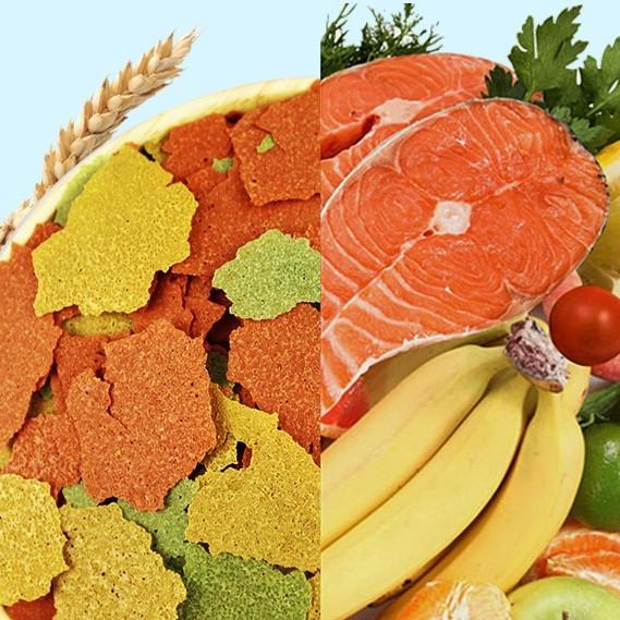 BONUSES Flake Fish Food - Thức Ăn Tổng Hợp Dạng Lá » Tăng Màu Sắc Cho Các Loại Cá