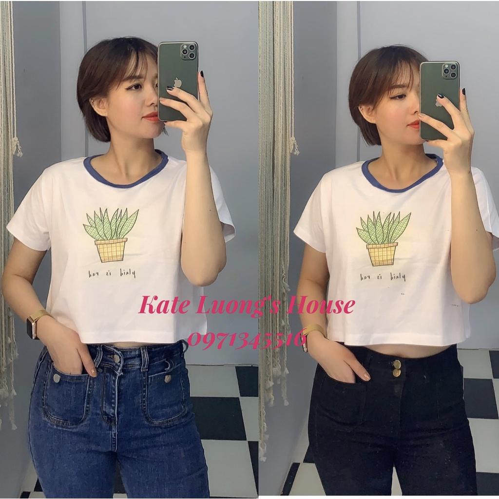 FS.666768.  Quần jean lưng cao nữ siêu xinh tôn dáng