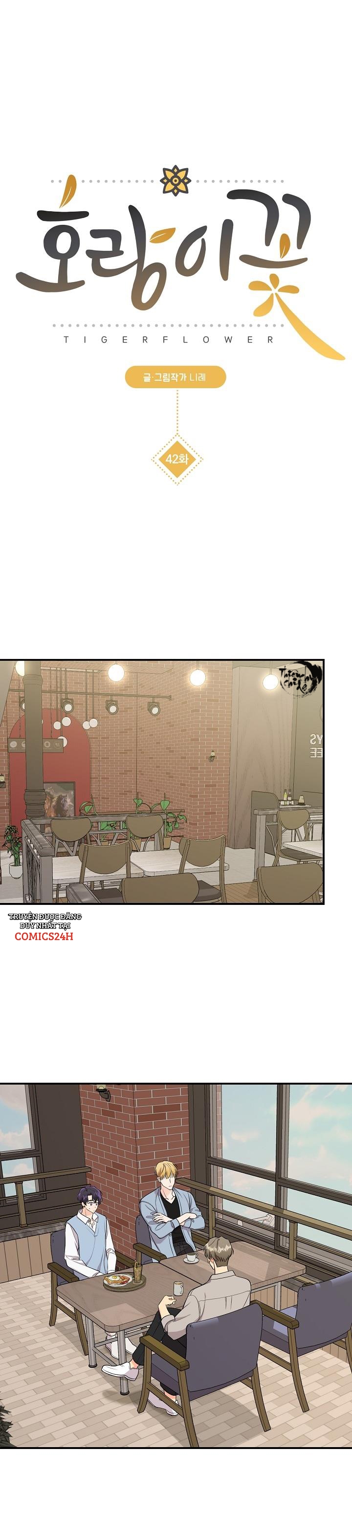 hoa ly hổ chapter 42 2