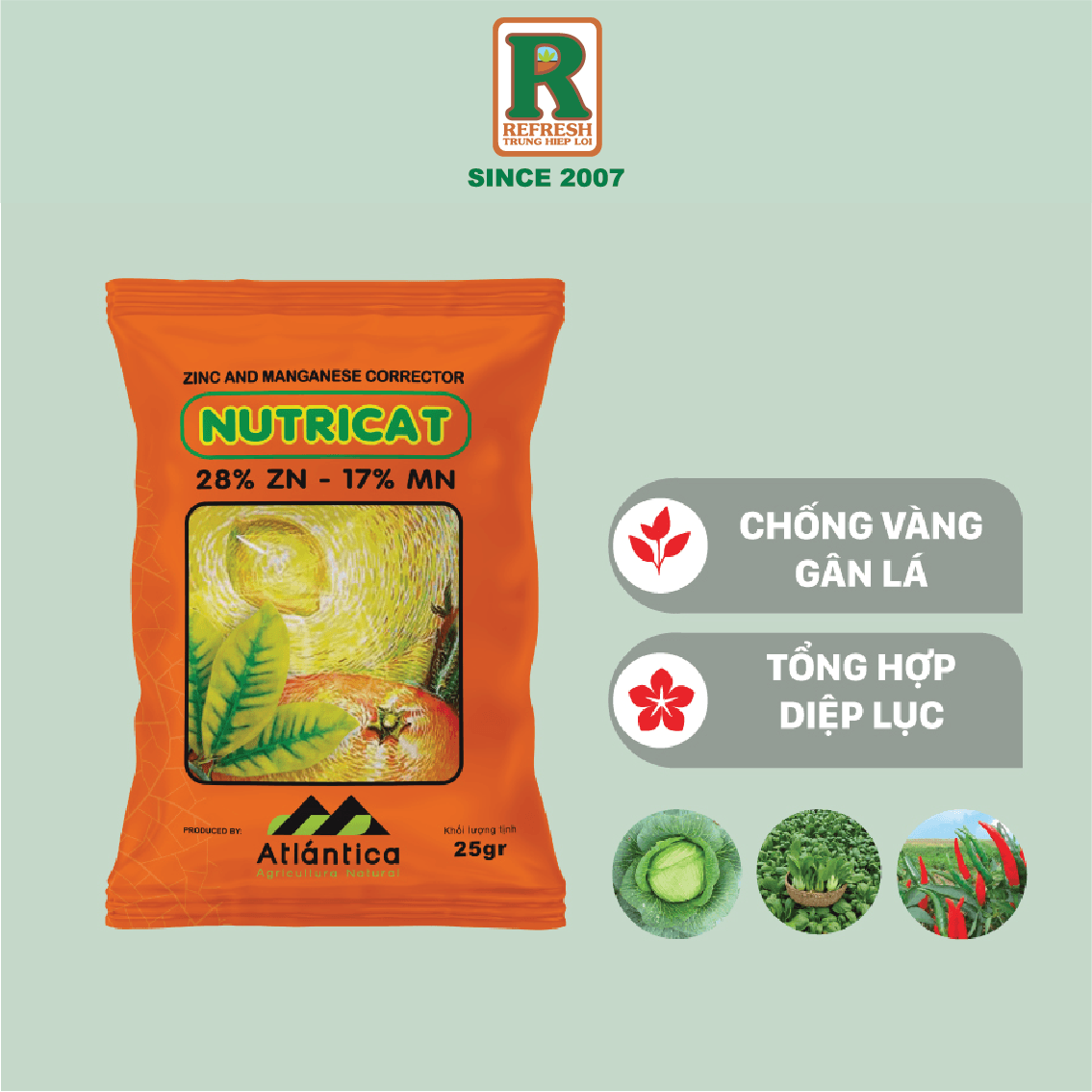 Phân bón vi lượng NUTRICAT 25gr bật mầm hoa, chống nhỏ lá, biến vàng thành xanh