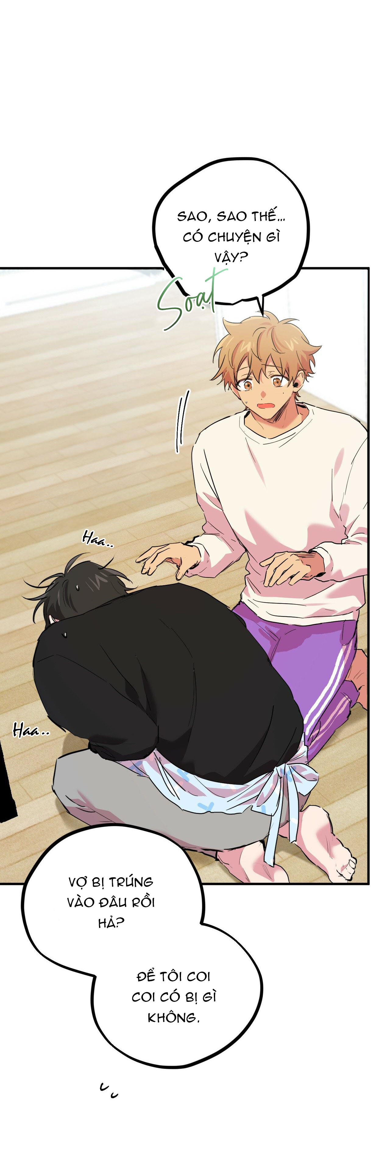 những chú thỏ của hapypy chapter 13 6