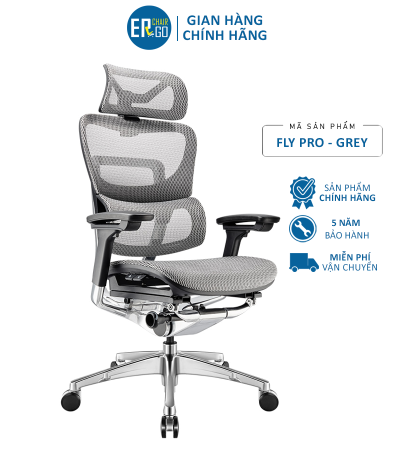 Ghế Công Thái Học Ergonomic Fly Pro Xám - Thiết kế 2 lưng