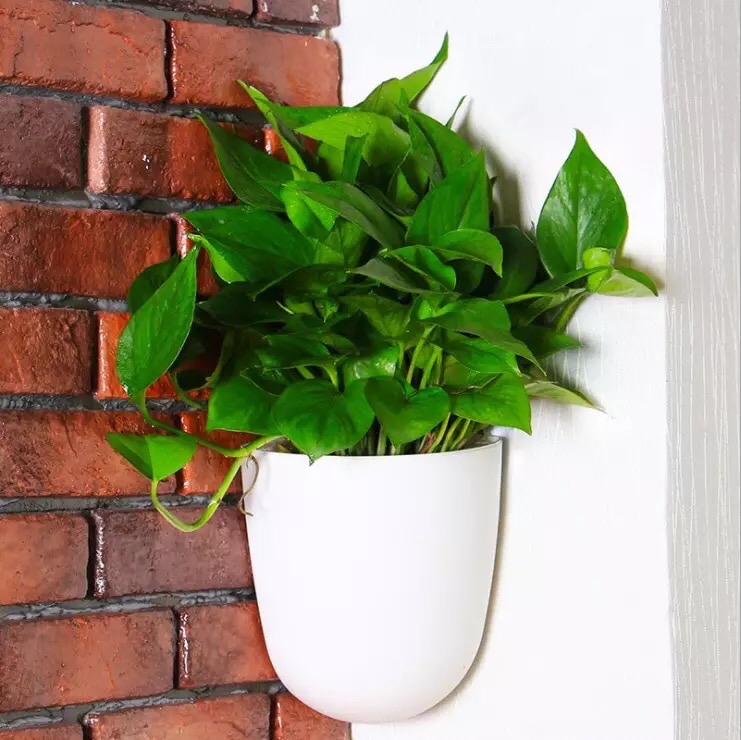 Chậu cây treo tường Oliz K07 - Chậu trồng cây tự tưới, dùng cho tường vuông góc 90 độ