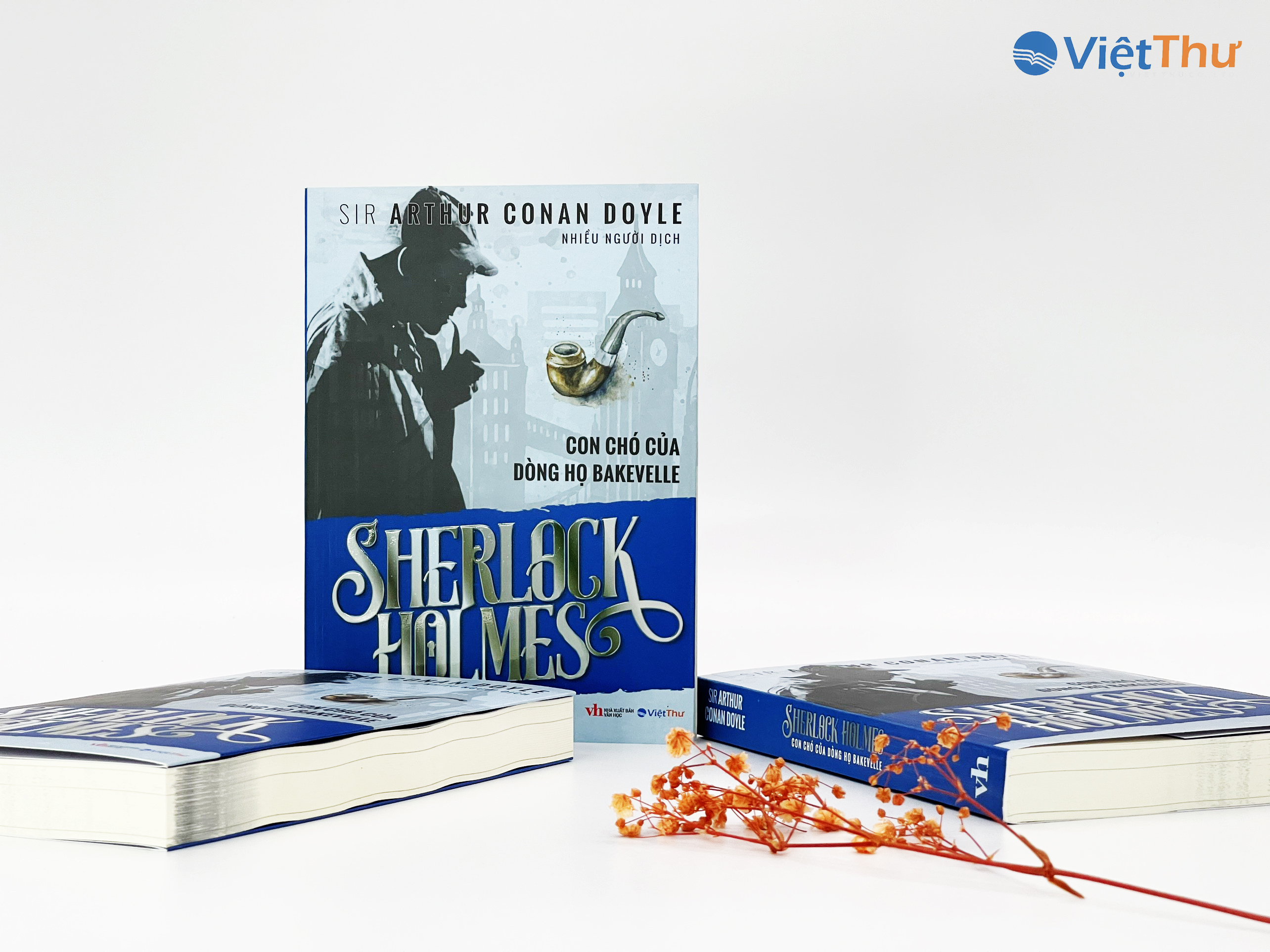 Sherlock Holmes - Con Chó Của Dòng Họ BAKJEVELLE