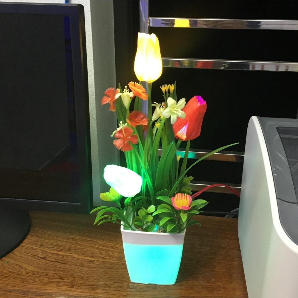 Đèn ngủ hoa tulip 3 bông