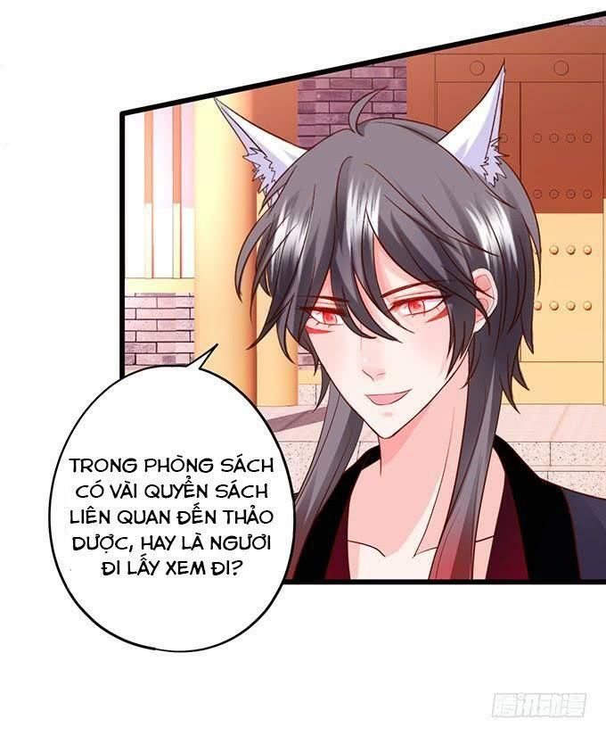 hồ tiên hung bạo chapter 137 48